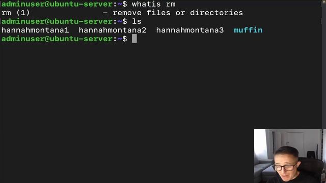 Remove a File From the Linux Command Line | Linux Files and Directories | One Command смотреть онлайн