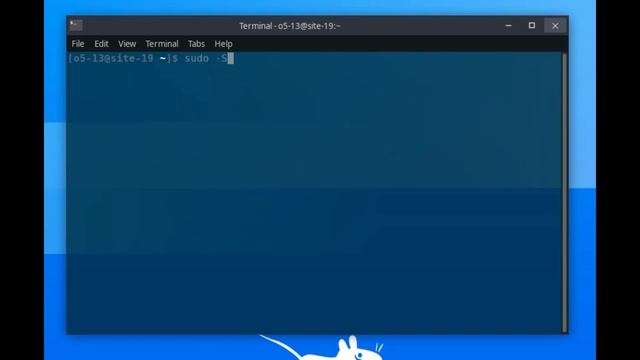 Playing With Terminals (system update, neofetch, Htop) смотреть онлайн