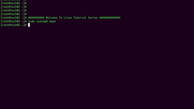 Linux User Management: How to Add a User and Set Password смотреть онлайн