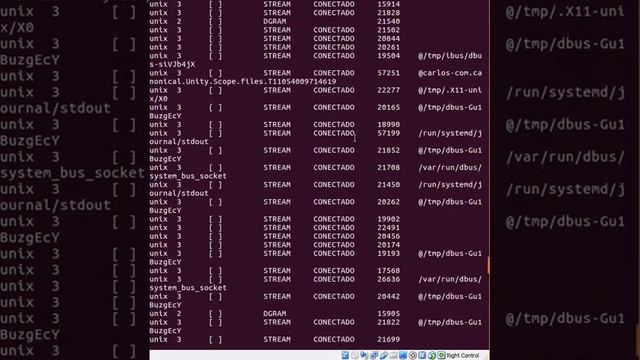 Comando netstat смотреть онлайн