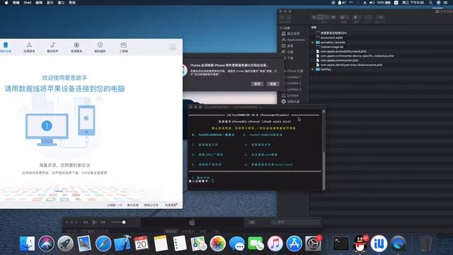 iPhone-iPad ios14-ios15 open SSH, supports Se / 6S / 6sp / 7 / P 8 / 8p / x mimi4/iPad5/Air2 смотреть онлайн