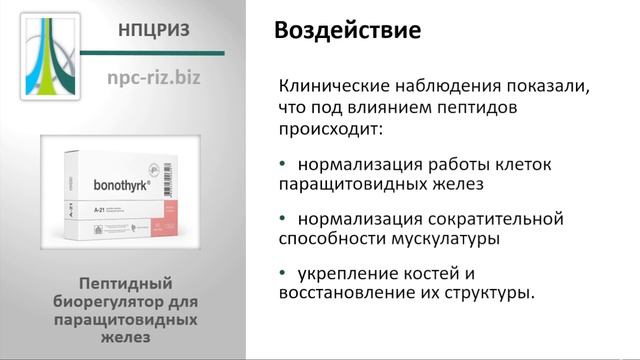 Бонотирк смотреть онлайн