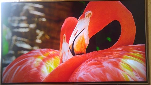 LG SJ 810V UHD 4K смотреть онлайн