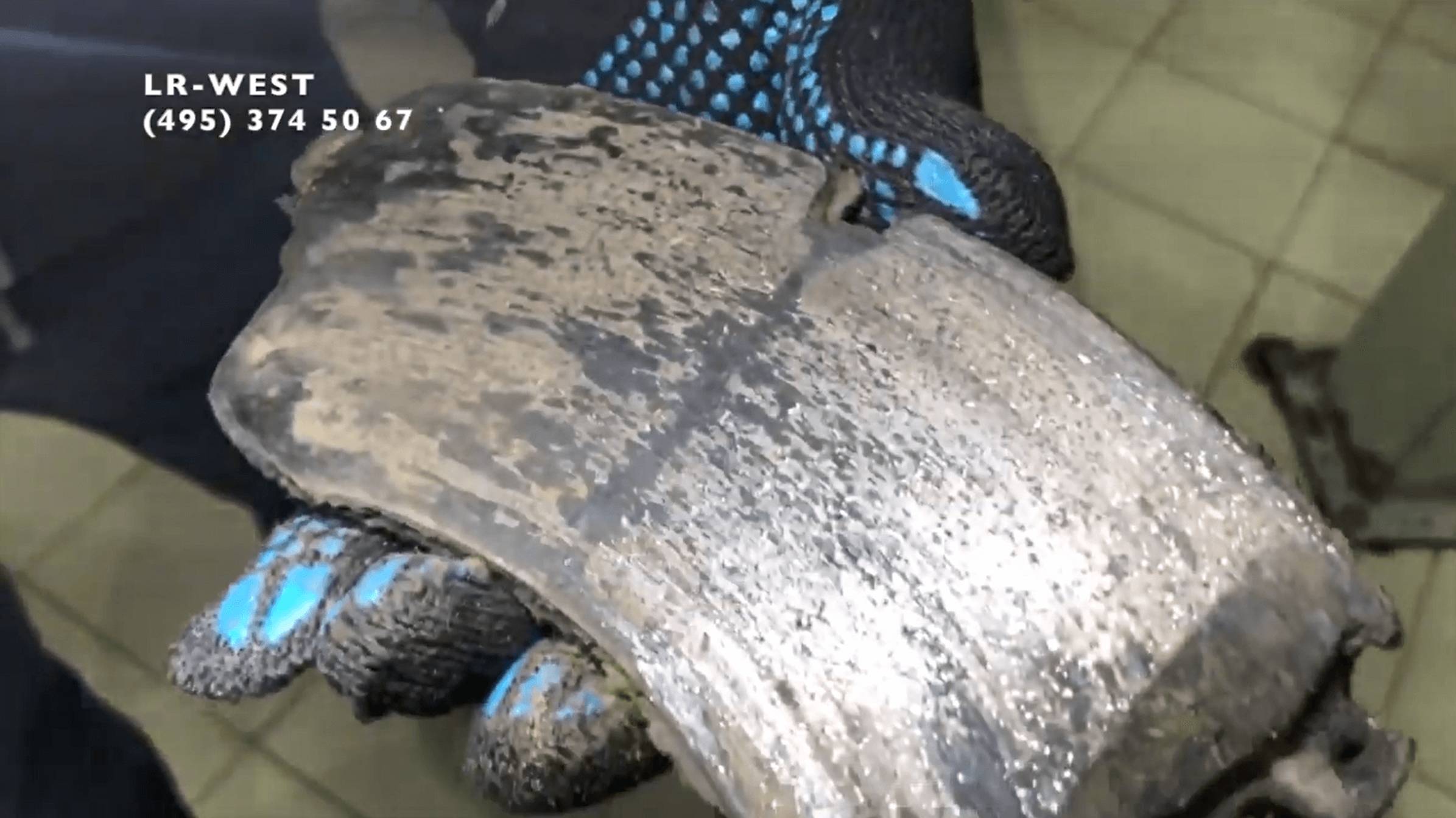 Отказ в гарантии Ленд Ровер. Замена колодок 1 раз в 10 000 км на Рендж Ровер. смотреть онлайн