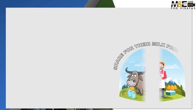 9th WB ISM - Bohol Dairy Producers Association смотреть онлайн