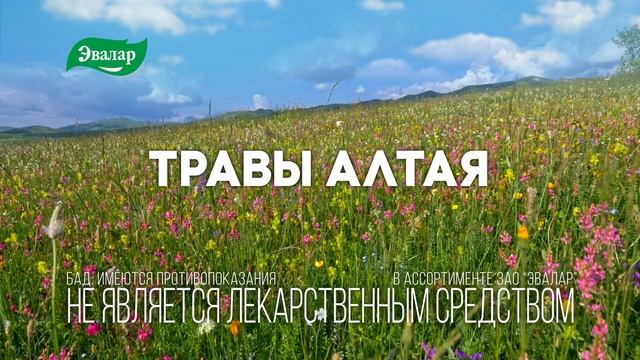 Очищение печени с Овесол Эвалар смотреть онлайн