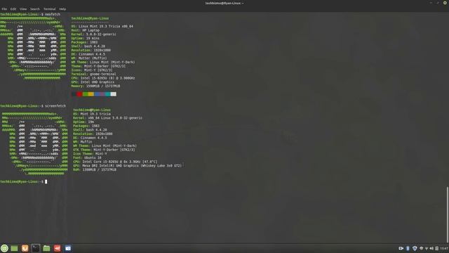 Neofetch vs. Screenfetch - What's the Difference? смотреть онлайн