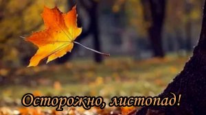 Осторожно, листопад