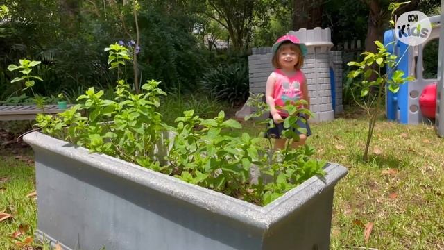Gardening 🌱 | Play School: Through The Windows | ABC Kids смотреть онлайн