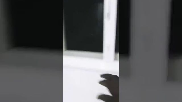 Mosquito Netted Door For Kitchen Windows || Mosquito Mesh Doors For Sale смотреть онлайн