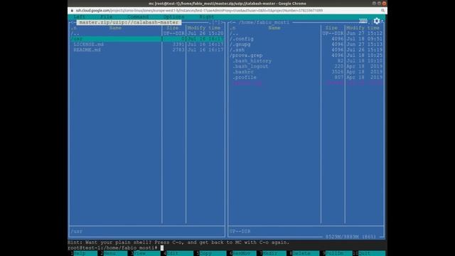 GNU/Linux - il progetto calabash смотреть онлайн