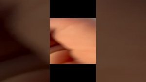 видео про муравьёв, ч. 1.