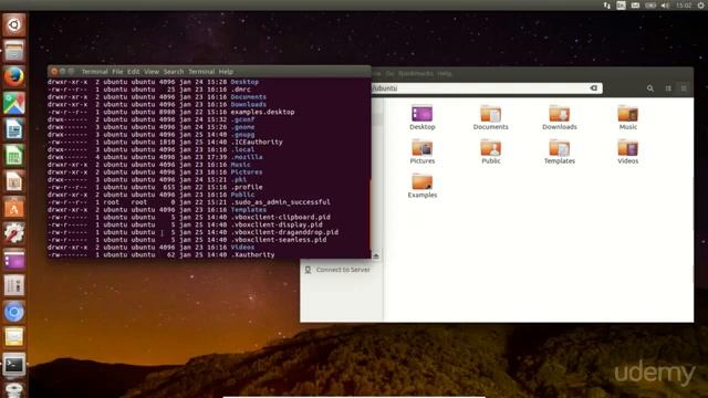 File Management - List files and folders смотреть онлайн