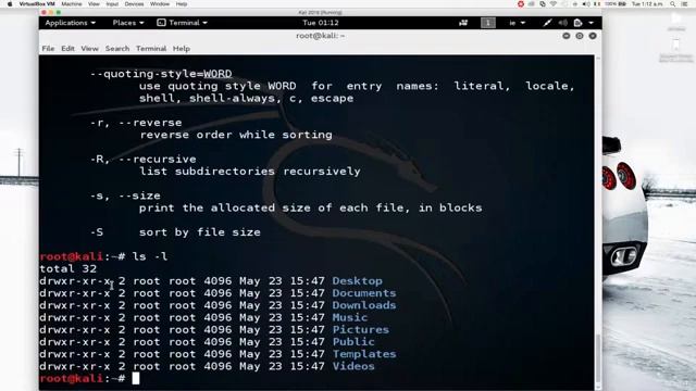 How To Interact With Linux Terminal & Basic Linux Commands (Kali) смотреть онлайн