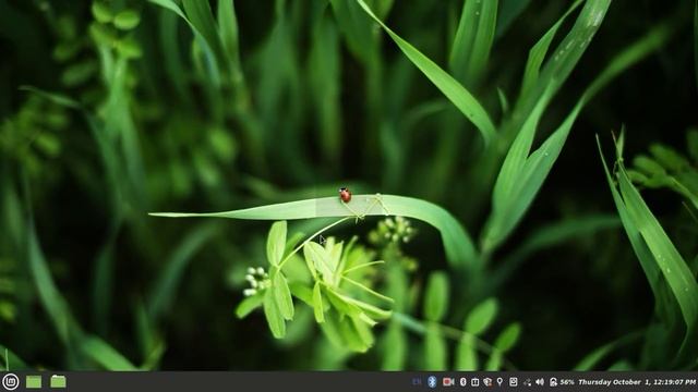 The Most Simple Ideas To Disk partitioning in Windows and Linux смотреть онлайн