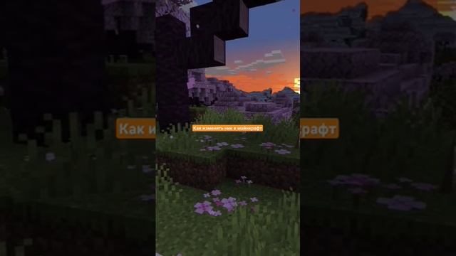 как изменить ник в майнкрафте смотреть онлайн