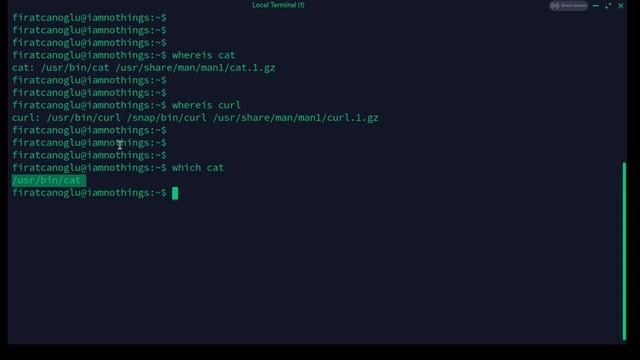 Linux whereis Command (whereis komutunun) Kullanımı ve Özellikleri смотреть онлайн