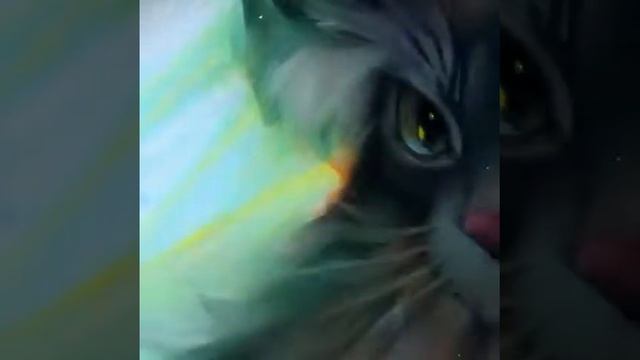 🔴🟠🟡 CATS 🔵🟣🔴 смотреть онлайн