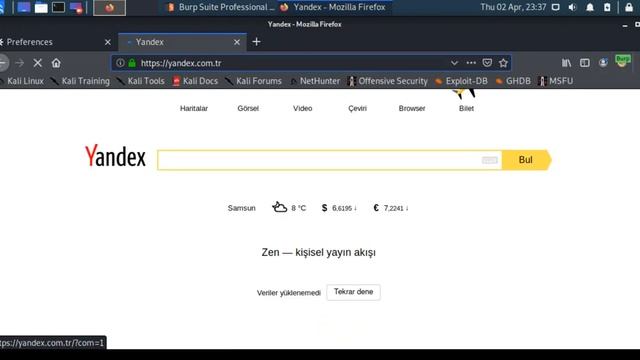 Burp Suite Proxy смотреть онлайн