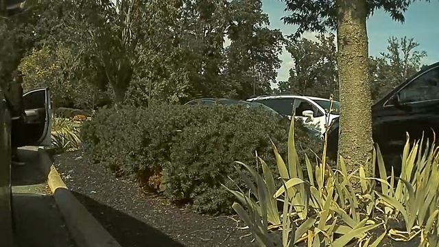 2/2 - Tesla Sentry Video - Thief breaks into 2 cars, then my Tesla Model S смотреть онлайн