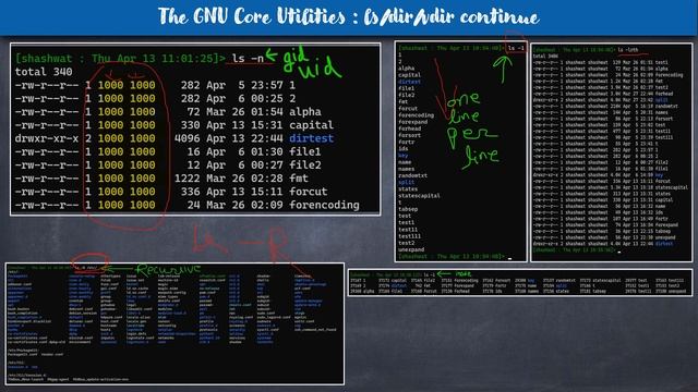Learning Linux Series GNU Core commands or utilities Directory listing смотреть онлайн