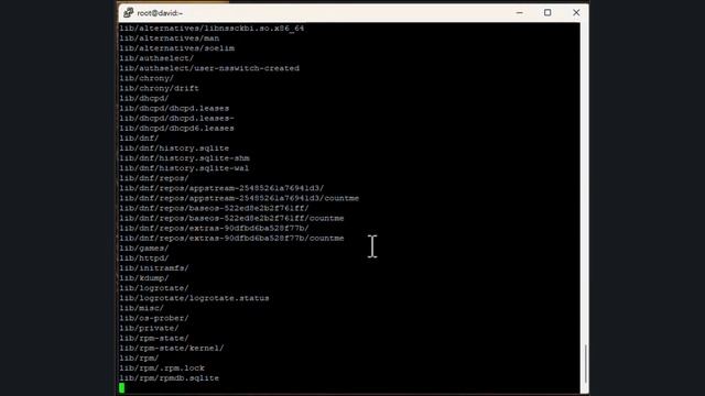 PRACTICA 2.4 RAID5 en Rocky Linux 9 David Caro смотреть онлайн