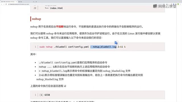 6.4-使用nohup和supervisor部署bluebell项目 смотреть онлайн