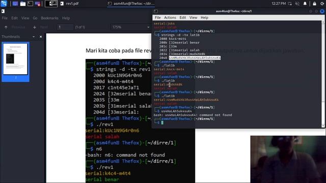 RE - Assembly - Serial Reverse Engineering dasar sesi 1 part1 смотреть онлайн