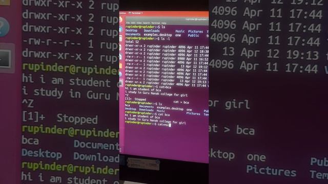 Basic file management commands in linux смотреть онлайн