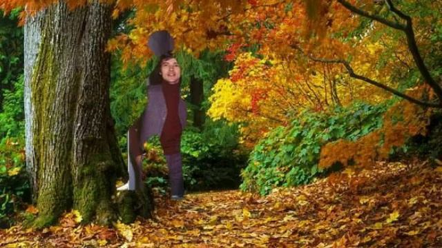Kizoa Video Editor - Movie Maker: PETE DUEL- SWEET SURRENDER смотреть онлайн