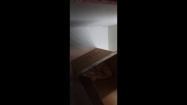 Unboxing Brambleberry Red Apple Fragrance Oil смотреть онлайн