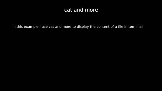 cat смотреть онлайн