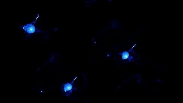 OpenCL NBody 2.5M particles смотреть онлайн