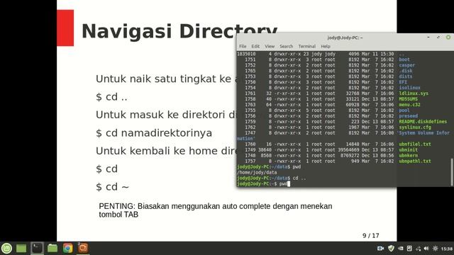 Linux Fundamentals - File Management Part 1 смотреть онлайн