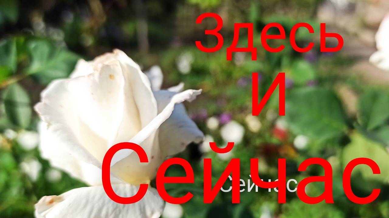 Отличный день/Развлекаюсь как могу/А ведь не хотела! смотреть онлайн