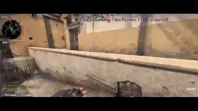 CS:GO Linux Gaming Test смотреть онлайн