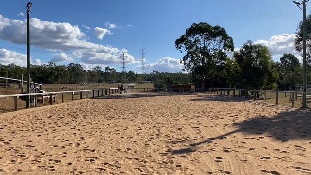 Olivia And Eve Dressage Test Prelim B
