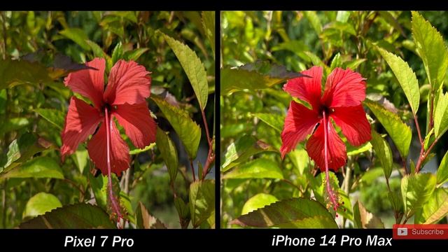 Pixel 7 Pro Vs iPhone 14 Pro Max - CAMERA TEST || смотреть онлайн