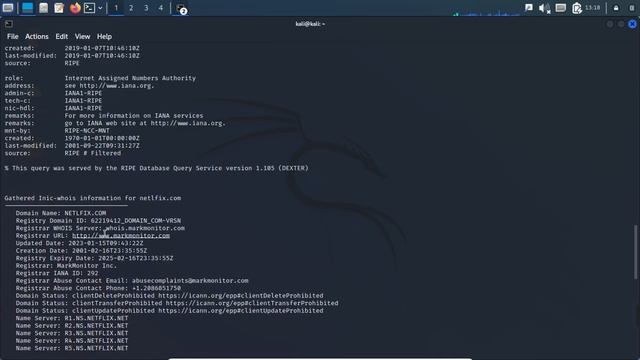 Dmitry Kali Linux - UFLA - SASI - Kleber Halley Sallum Guimarães смотреть онлайн
