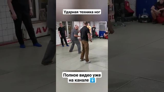Удары ногами. Техника школы Толпар ОС #shorts