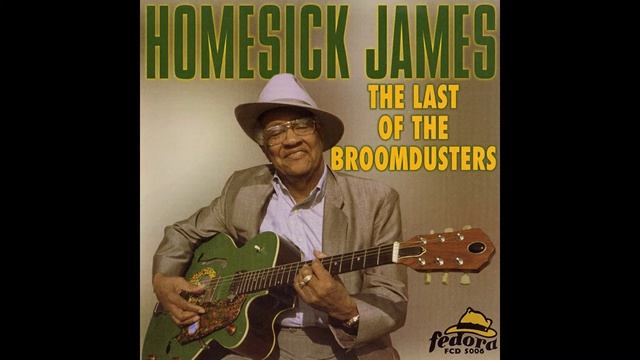 Homesick James - Long Tall Woman смотреть онлайн