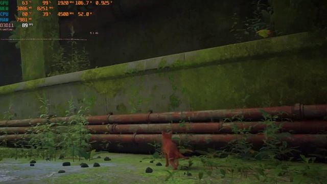 Stray | i7 7700K & RTX 3050 [DX11] смотреть онлайн