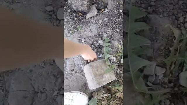 Часть 1 Квест для Даши/Princess Mary/ смотреть онлайн