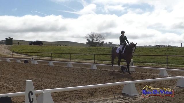 097D Teresa Harcourt On Csongor SR Training Dressage Twin Rivers Ranch March 2023