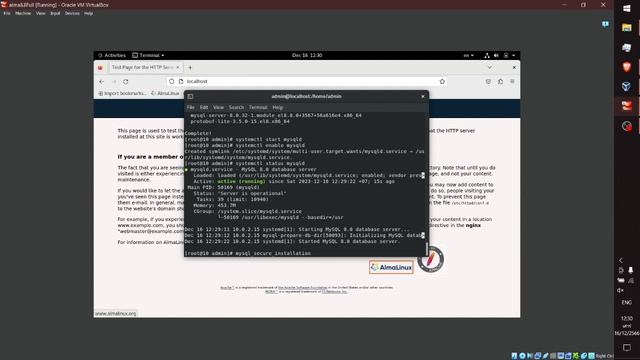 How to install phpMyAdmin on AlmaLinux (LAMP Stack) смотреть онлайн