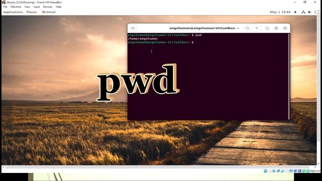 Basic Terminal Commands in Linux Ubuntu |ubuntu terminal tutorial |টার্মিনাল এর সাথে পরিচিতি | P-1 смотреть онлайн