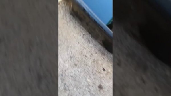 linhai 400 stator replacement