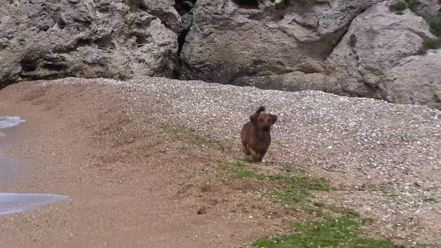 Рой. Генералы 22. 05. 2016 г. смотреть онлайн