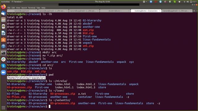 Training: Linux Fundamentals: 02 - Files (part 4) смотреть онлайн