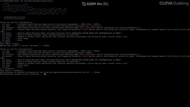 Rapid Recovery Agent 설치(Linux) смотреть онлайн